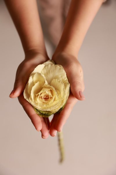 Лабиопластика